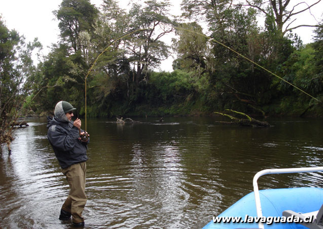 Fly Fishing Chilo, pescando en la tierra de los mitos