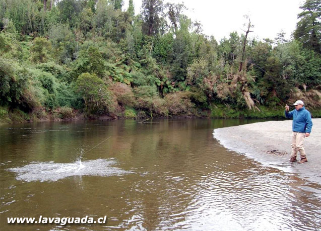 Fly Fishing Chilo, pescando en la tierra de los mitos