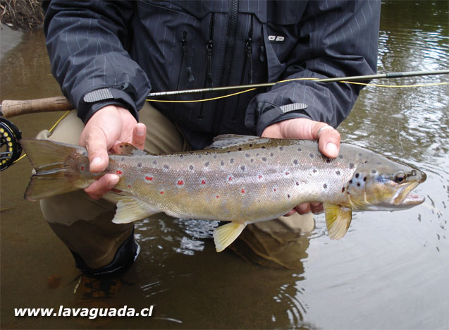 Fly Fishing Chilo, pescando en la tierra de los mitos