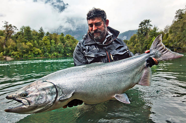 El regreso a los ros salmoneros de Chile