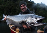 Los Salmones del rio Petrohue, sur de Chile.