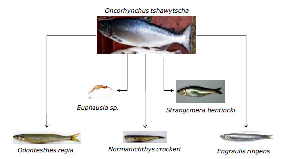 Estudio Biolgico de la Poblacin de Salmn Chinook en la Cuenca del Ro Toltn - Regin de la Araucana - Chile