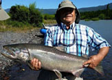 Estudio Biológico de la Población de Salmón Chinook en la Cuenca del Río Toltén - Región de la Araucanía - Chile