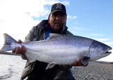 Salmones del Pacífico Remontan los Ríos del Atlántico.