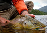 Chucao Yelcho Lodge - Chile