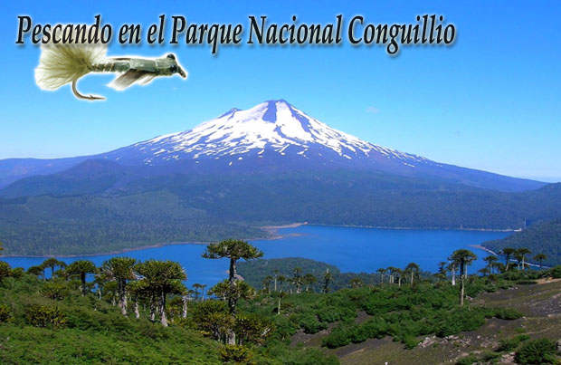 Pescando en el Parque Nacional Conguillío