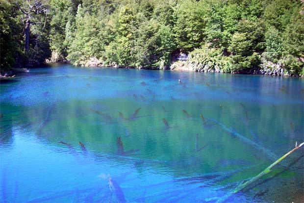 Laguna Arcoiris  - Parque Nacional Conguillo