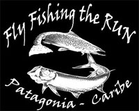 Fly Fishing The Run - Patagonia - Caribe