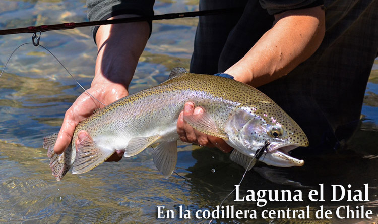 Laguna El Dial, en la codillera central de Chile