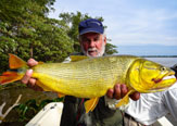 Dorados en Paraná Medio - Argentina.