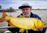 Dorados Cerca de Buenos Aires - Argentina