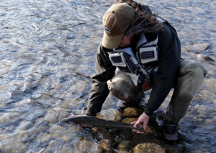 Pescando con Dropper en ro
