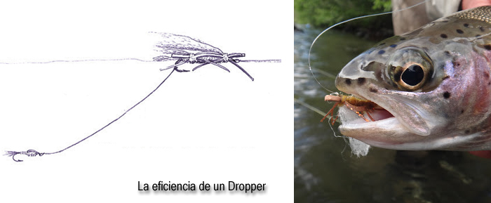 Pescando con Dropper en ro