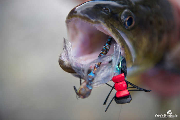 Dry Fly Fishing Patagonia Chile