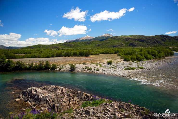 Dry Fly Fishing Patagonia Chile