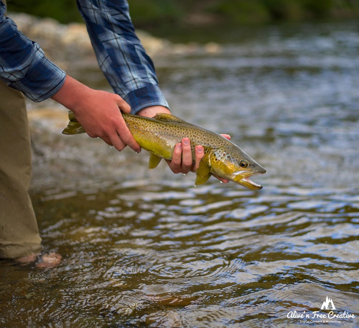Dry Fly Fishing Patagonia Chile