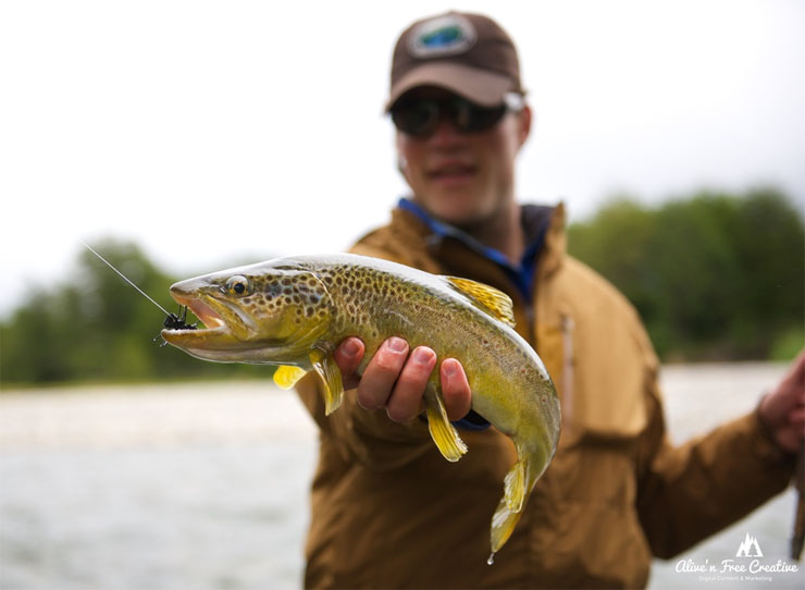 Dry Fly Fishing Patagonia Chile