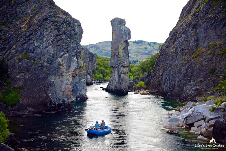 Dry Fly Fishing Patagonia Chile