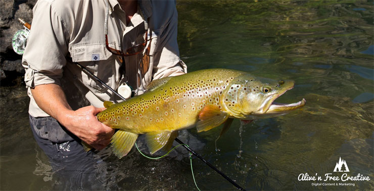 Dry Fly Fishing Patagonia Chile