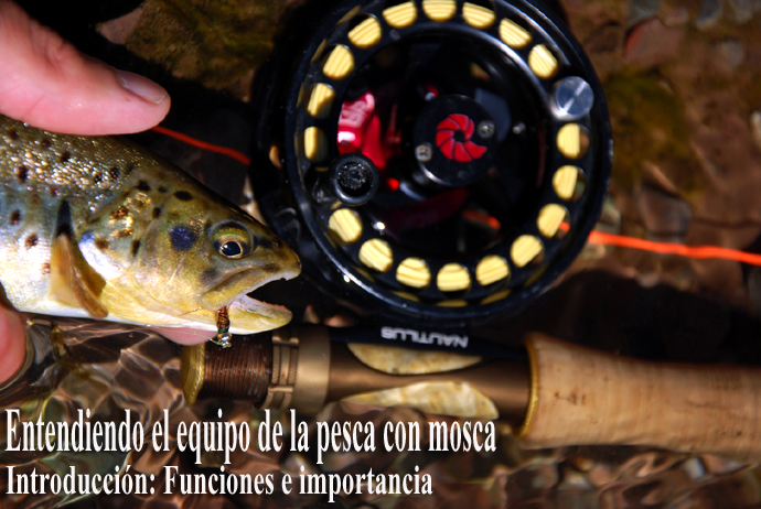 Entendiendo el equipo de la pesca con mosca - Introduccin: Funciones e Importancia