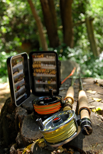 Entendiendo el equipo de la pesca con mosca - Introduccin: Funciones e Importancia