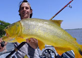 EQUINA: Buscando Dorados con Palometas Activas