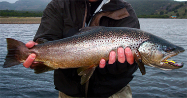 Expediciones Coyhaique Fly Fishing