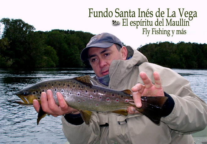 Fundo Santa Inés de La Vega, el espíritu del Maullín
