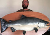 Los Peces Casi Reales de Miguel de la Fuente