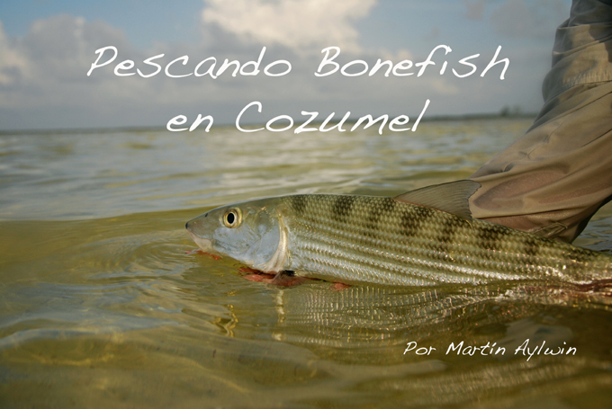 Pescando Bonefish en Cozumel México