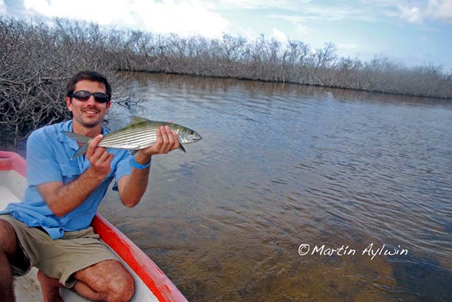 Pescando Bonefish en Cozumel Mxico