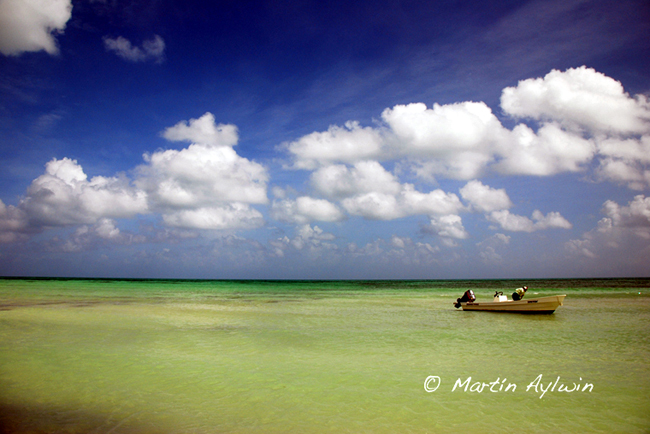 Pescando Bonefish en Cozumel Mxico