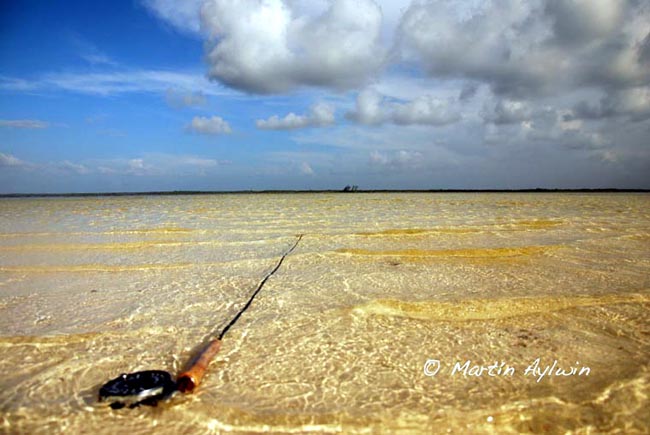 Pescando Bonefish en Cozumel Mxico