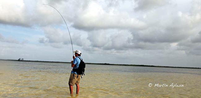 Pescando Bonefish en Cozumel Mxico