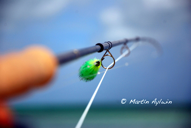 Pescando Bonefish en Cozumel Mxico