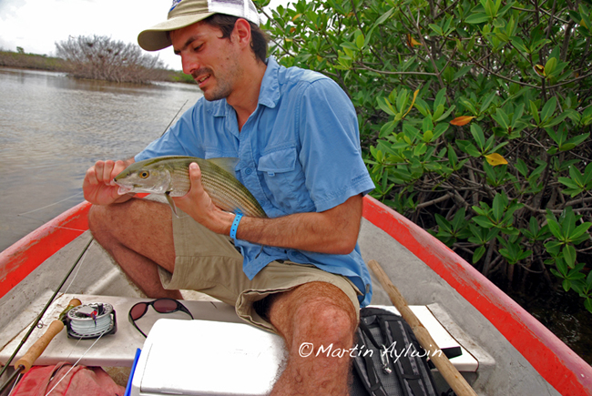 Pescando Bonefish en Cozumel Mxico
