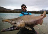 Glaciar King Salmon - Santa Cruz, Argentina
