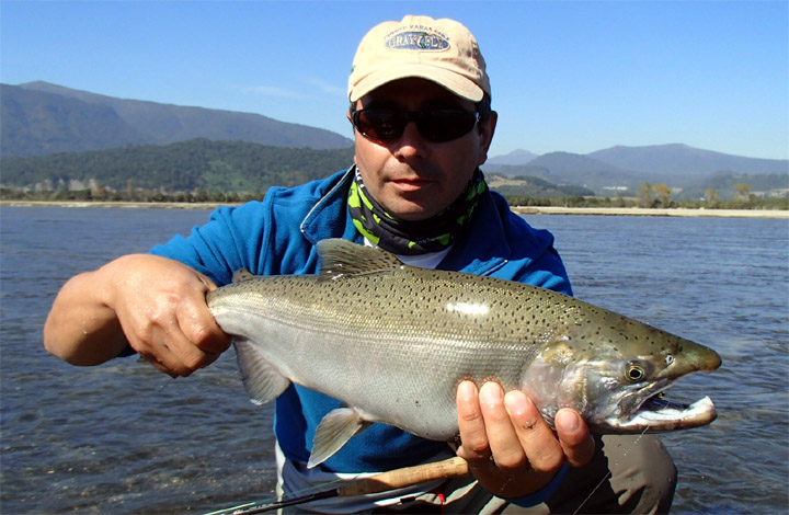 Grand Slam Salmonero en el sur de Chile