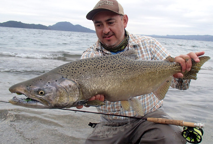 Grand Slam Salmonero en el sur de Chile