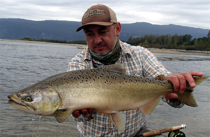 Grand Slam Salmonero en el sur de Chile