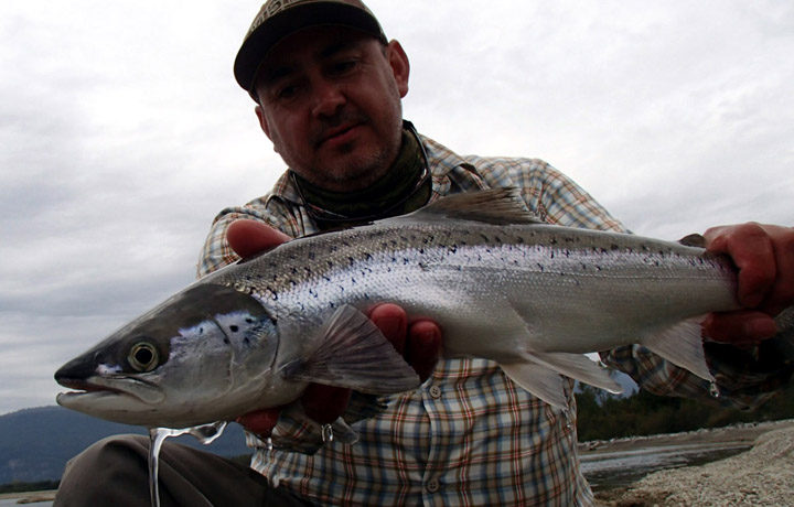 Grand Slam Salmonero en el sur de Chile