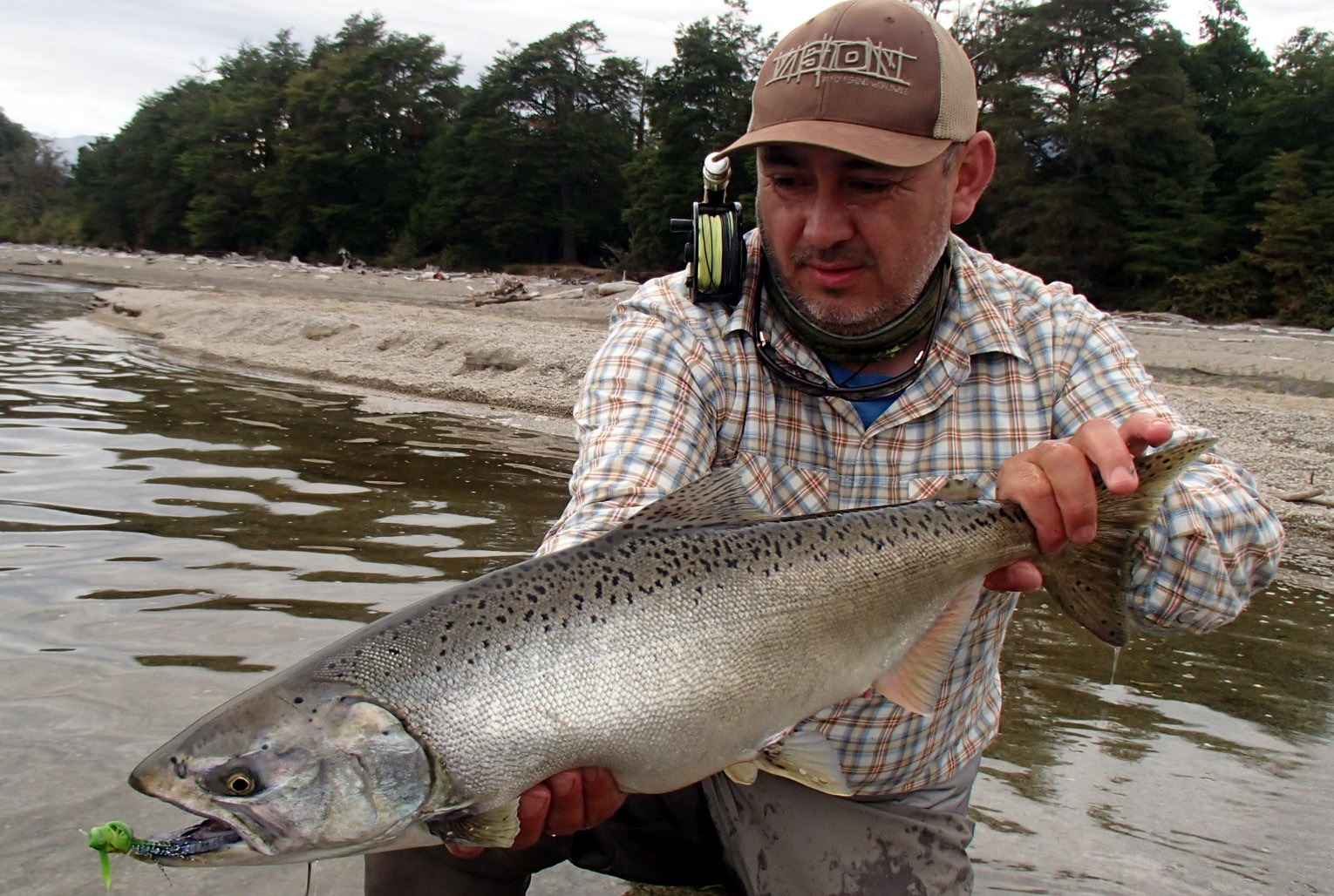 Grand Slam Salmonero en el sur de Chile