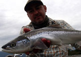 Grand Slam Salmonero en el sur de Chile