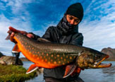 Greenland - Pesca Con Mosca en la Cima del el Mundo