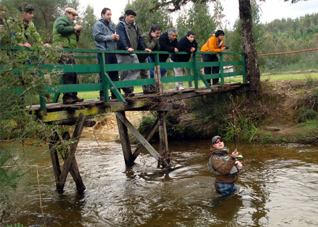 Guideline - Muestra y Clnica de pesca en Valdivia