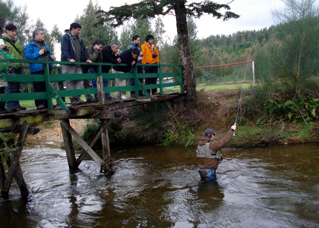 Guideline - Muestra y Clnica de pesca en Valdivia