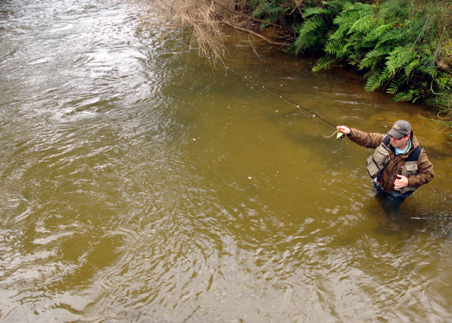 Guideline - Muestra y Clnica de pesca en Valdivia