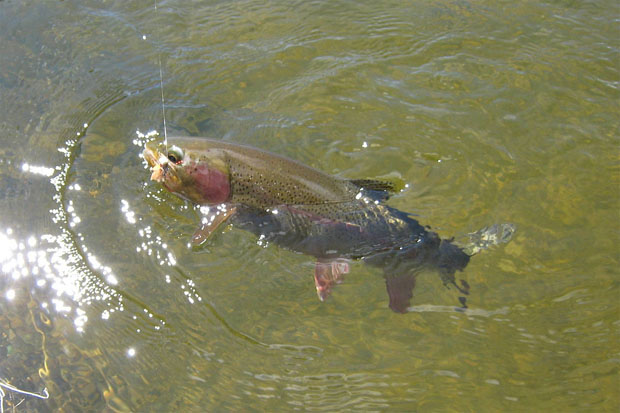 Soltamontes, pescando con un Hopper