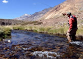 Pescando con Indicadores de Pique