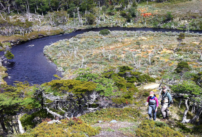 Explorando Isla Navarino - Patagonia Chile